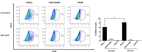 Flow Cytometry Analysis Of Cd36 Surface Marker On K562 Subclones