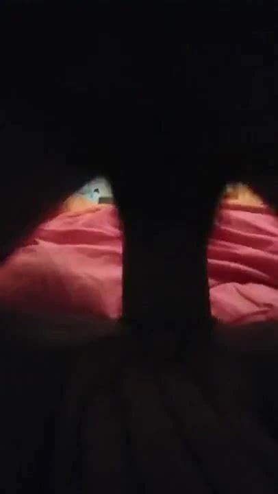 Putting My Load On Her Pussy Pussy Porn Xhamster