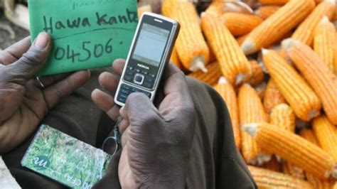 Five Start Ups That Are Transforming Africas Agriculture