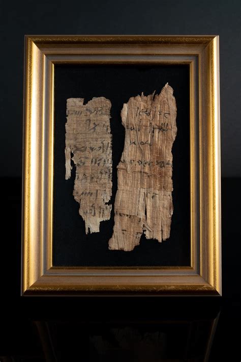 Antiguo Egipto Fragmentos de papiro egipcio con inscripción jeroglífica