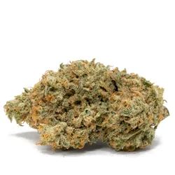 Buy Best Sativa Weed | Canada's Top Sativa Strains Online