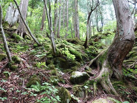 【大滝】アクセス・営業時間・料金情報 じゃらんnet