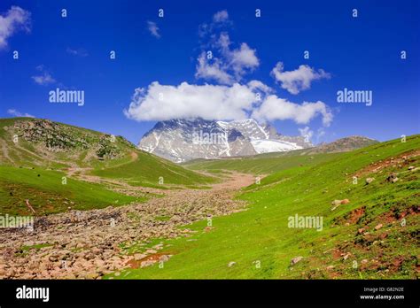 Beautiful Mountain View With Pine Forest Of Sonamarg Jammu And Kashmir