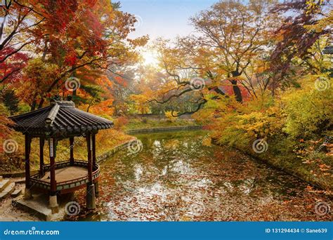 Changdeokgung Palace in Autumn Stock Photo - Image of beautiful, autumn ...