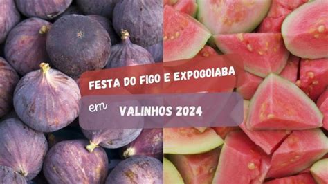 Festa Da Uva De Jundia Come A Em Janeiro Veja As Atra Es