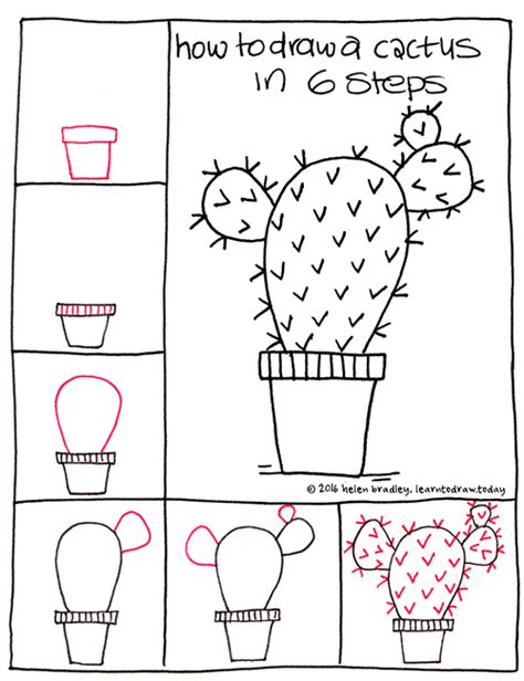 Learn To Draw A Cactus In 6 Steps Learn To Draw