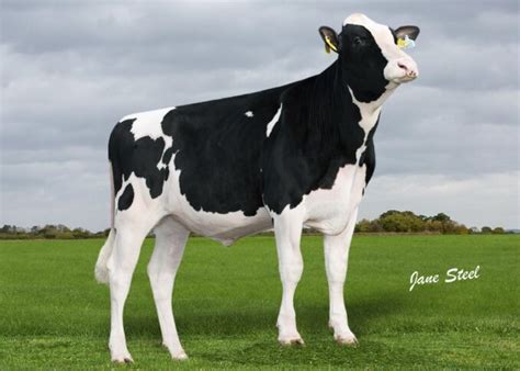 DG Space - AI Total US