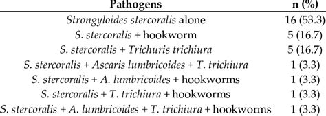 Strongyloides Stercoralis And Co Infections N 30 Download Scientific Diagram