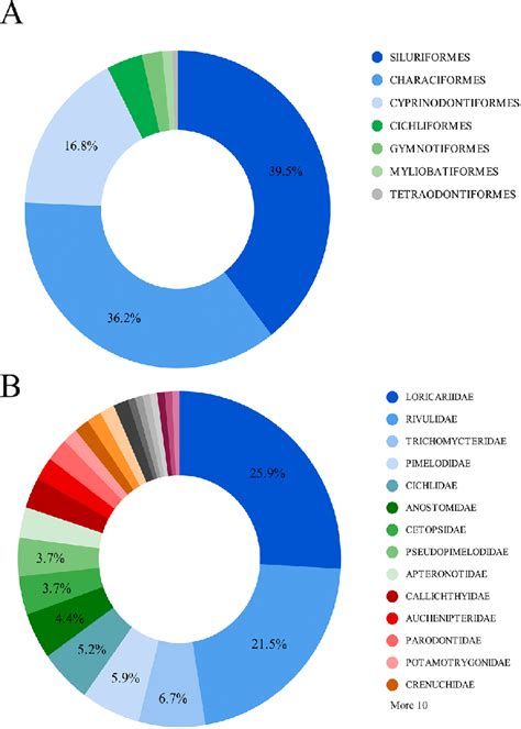 Described Species In The Last Years From The Tocantins Araguaia