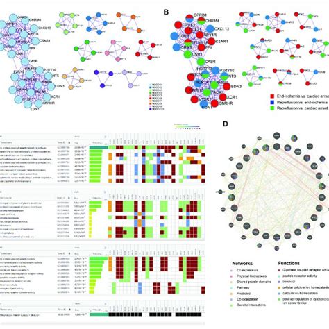 Key Candidate Genes And Ppi Network Analysis A Interactions Among