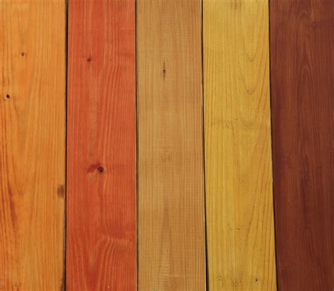 The new Thompson's WaterSeal Waterproofing Stain is available 5 popular