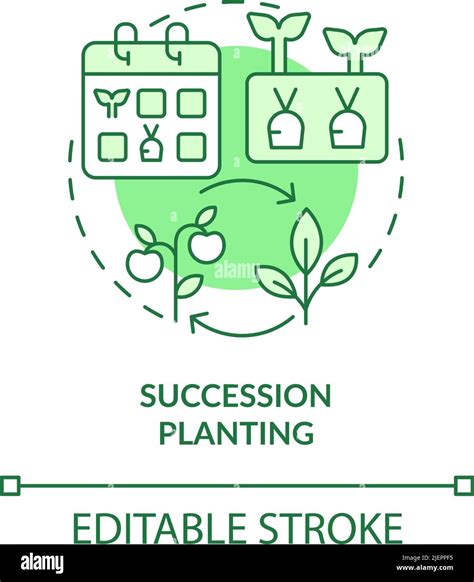 Icono De Concepto Verde De Plantaci N De Sucesi N Imagen Vector De