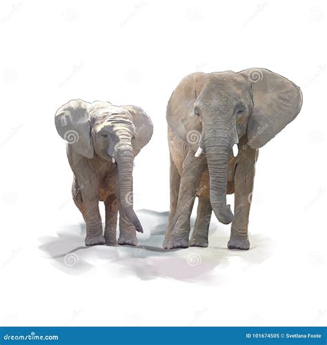 Mother and Baby Elephants Watercolor Stock Illustration - Illustration ...