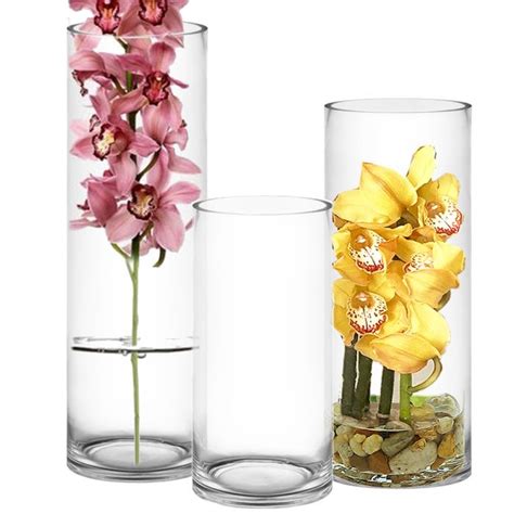 Stunning Glass Cylinder Vases For Elegant Floral Arrangements Shop Now