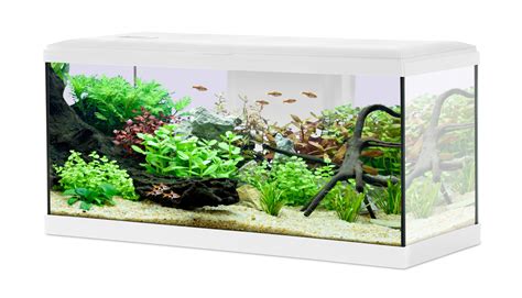 Kit Aquarium Tana Led Cm L