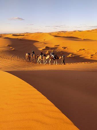 Merzouga Camel Trekking Day Tours Qu Saber Antes De Ir Lo