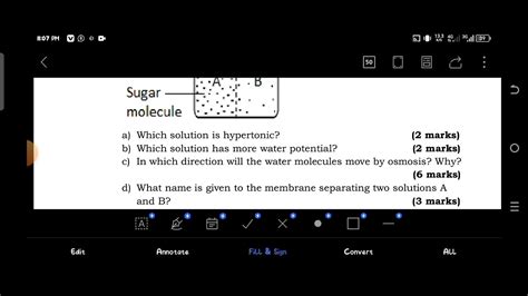 Biology National Examination NESA Exam 2024 YouTube