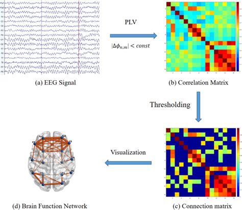 Flow Chart Of The Brain Network Construction Of The Eeg Signal Eeg