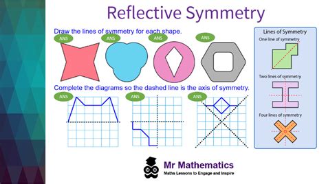 Reflective Symmetry in 2D Shapes - Mr-Mathematics.com