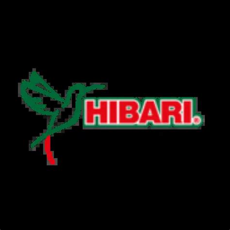 Qué es una moto naked diseño y manejo Impocali Motoparts