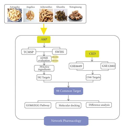 Schematic Diagram Of Network Pharmacology Analysis A Network Download Scientific Diagram