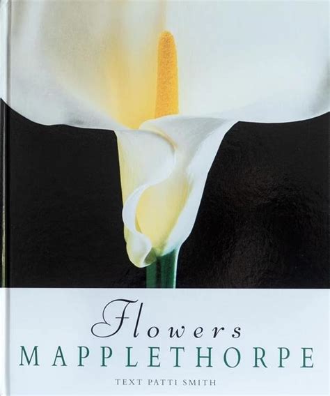 Robert Mapplethorpe Flowers Photos Best Flower Site