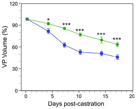 Comparison Of Ventral Prostate Regression Induced By Finasteride Versus