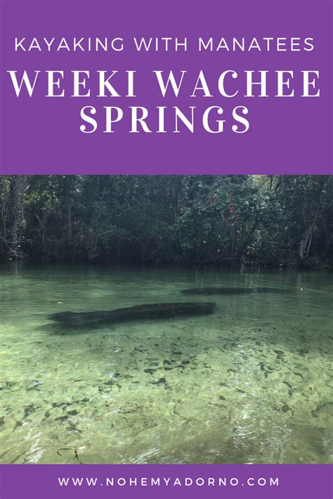 Kayaking with Manatees | Weeki Wachee Springs Double Kayak, Florida ...