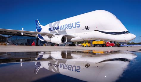 Beluga XL, world’s largest cargo plane, lands at Kolkata airport ...