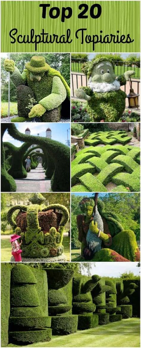 Top 20 Sculptural Topiaries 1001 Gardens