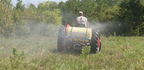 Springtime Food Plot Weed Control | Grand View Outdoors