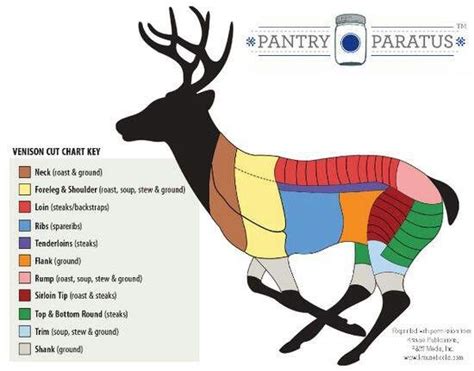 Venison Butchering Diagram