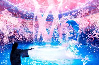 Sakura Aquarium By Naked Things To Do In Tokyo