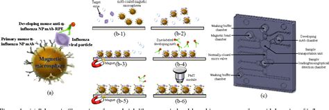 Figure 1 From A Magnetic Bead Based Immunoassay For Rapid Purifica