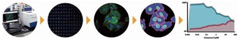 高内涵成像分析系统报价价格性能参数图 Molecular Devices生物器材网