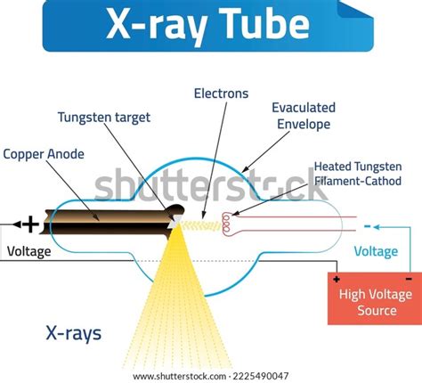 Schematic Diagram X Ray Tube That Could Stock Vector Royalty Free