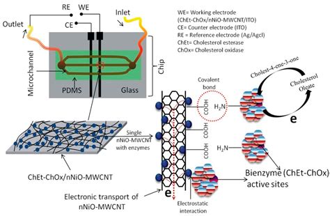 Sensors Free Full Text Microfluidics Integrated Biosensors A