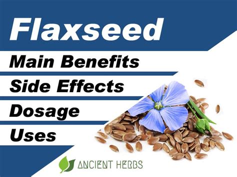 Flaxseed Benefits Uses Dosage Side Effects