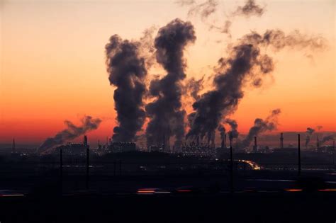 Benzopiren w smogu. Groźny związek chemiczny | Greenecosa