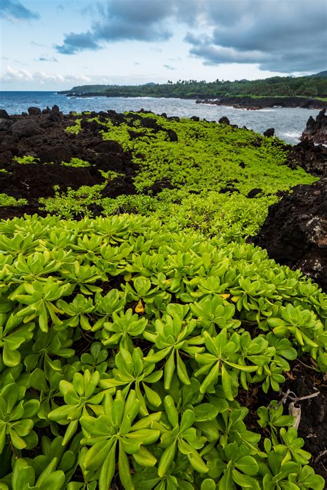 Erupting Lava during Daytime · Free Stock Photo