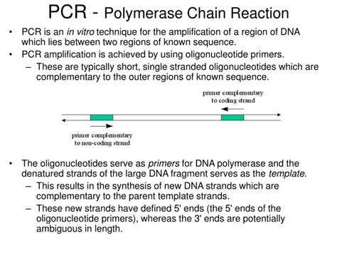 Ppt Pcr Polymerase Chain Reaction Powerpoint Presentation Free