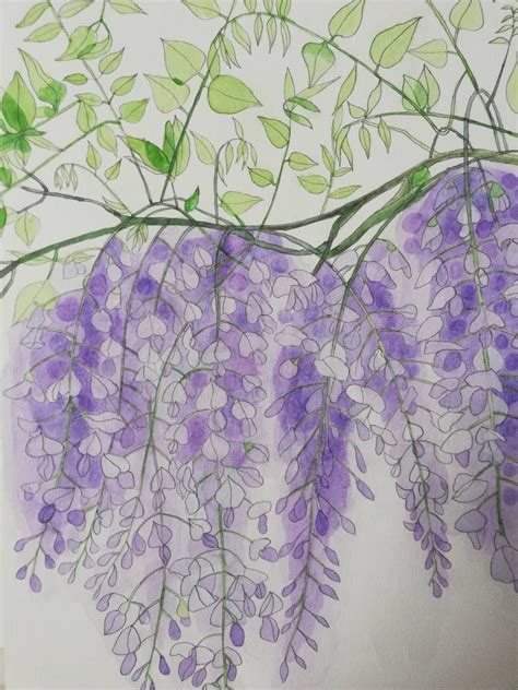 Wisteria Wall Art, Wisteria Wall Decor, Wisteria Painting, Wisteria ...