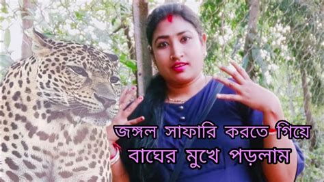 জঙ্গল সাফারি করতে গিয়ে আজকে বড় 🐅🙄বিপদের মুখ থেকে ফিরে আসলাম আমরাmy