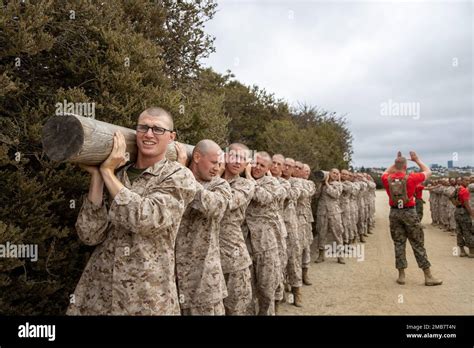 ÉTATS UNIS Les recrues du corps maritime avec Delta Company 1st