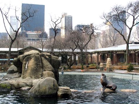 Central Park Zoo, Central Park, Manhattan