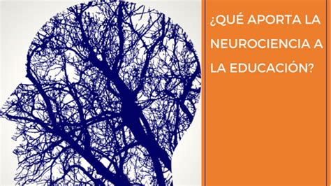 ¿qué Aporta La Neurociencia La Educación