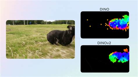 Vision Unleashed: The Rise of DINO v2 in Self-Supervised Learning | by ...