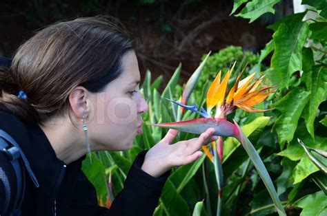 polibek | Stock image | Colourbox