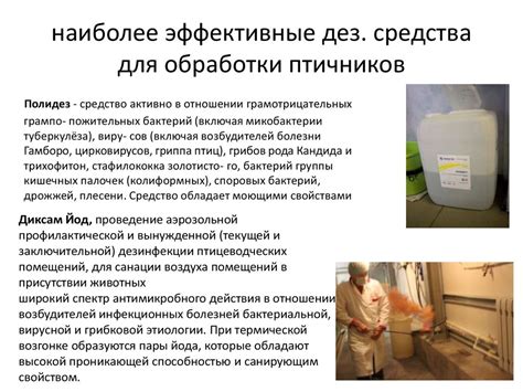 Дезинфекция, дезинсекция на предприятии яичного производства ...
