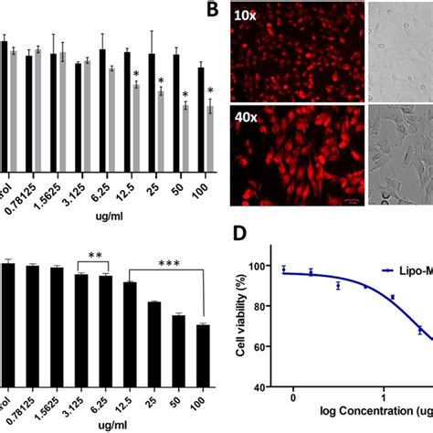 Cell viability by MTS assay and cell uptake analysis. A MTS assay ...